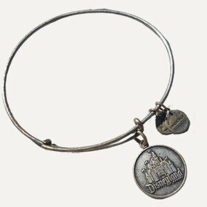 Disneyland Alex and Ani Bangle Bracelet – Silver Tone